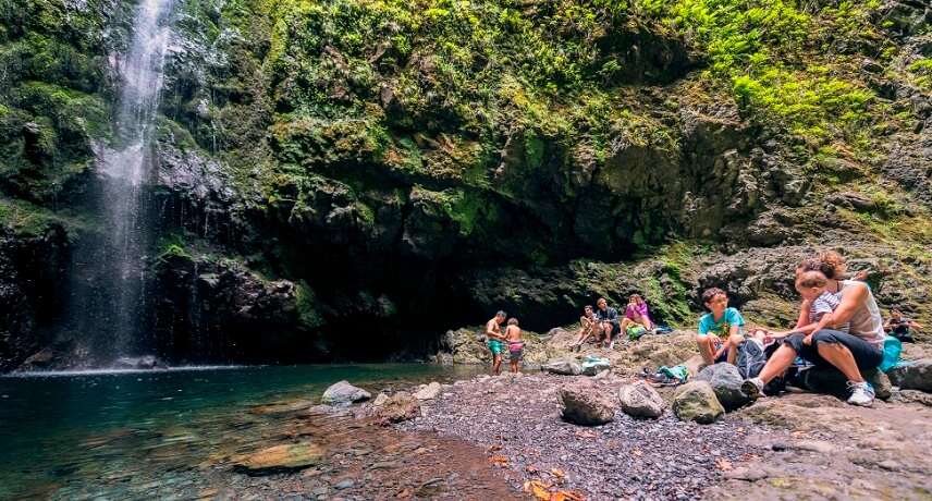 Hiking holidays in Madeira - Levada Queimadas Caldeirao Verde